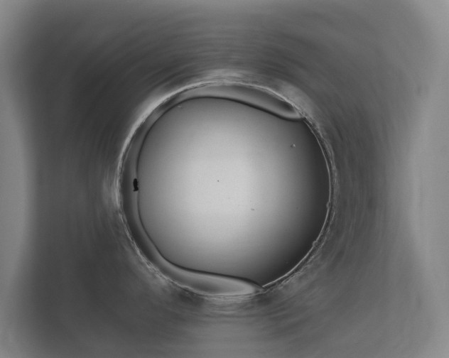 X0000112431296200908211153
