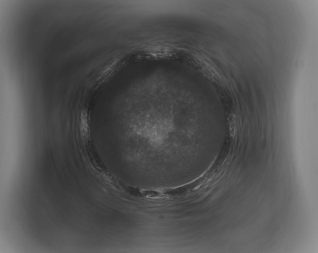 X0000112431298200908211152