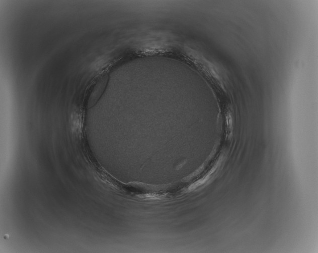 X0000112431300200908211152