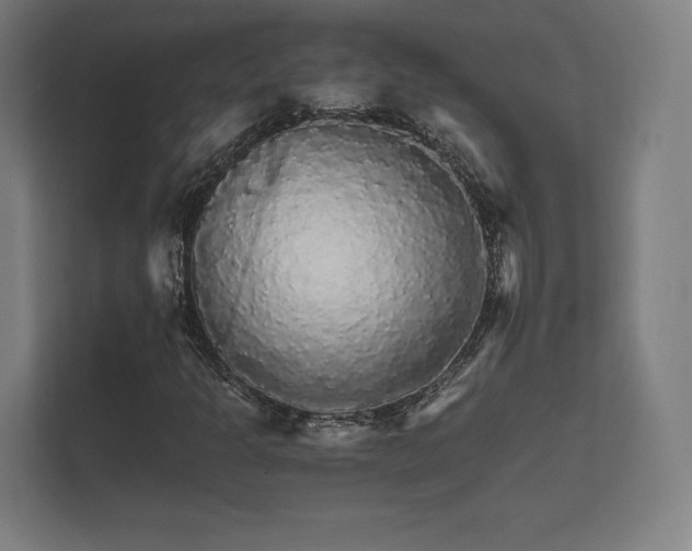 X0000112431301200908211152