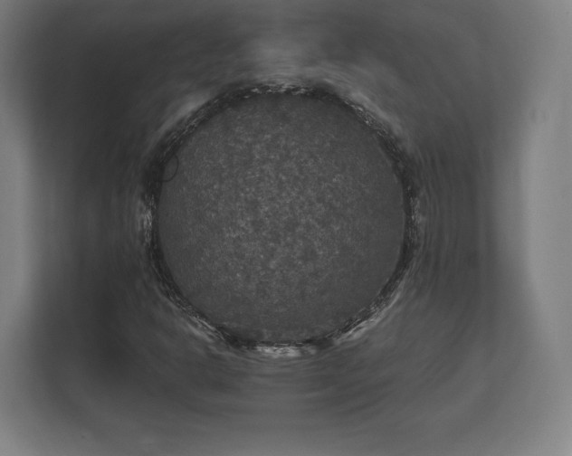 X0000112431302200908211152
