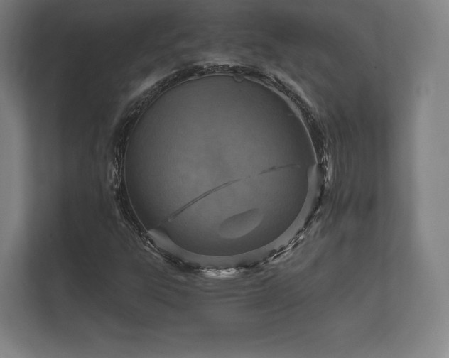 X0000112431303200908211152
