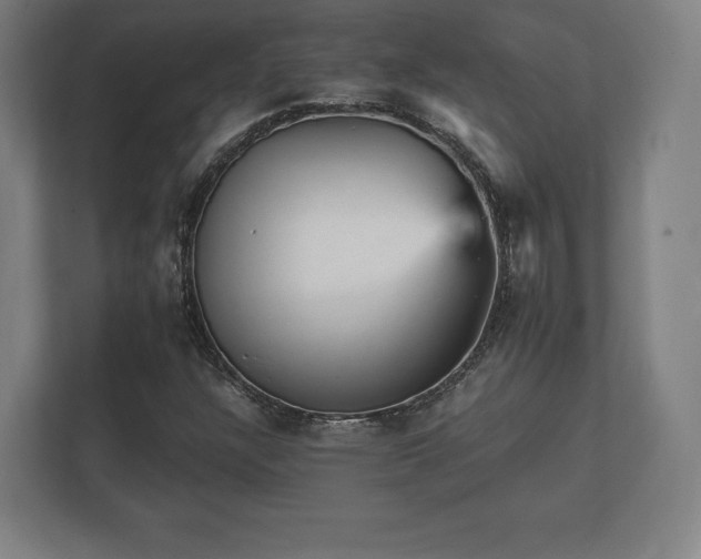 X0000112431304200908211152