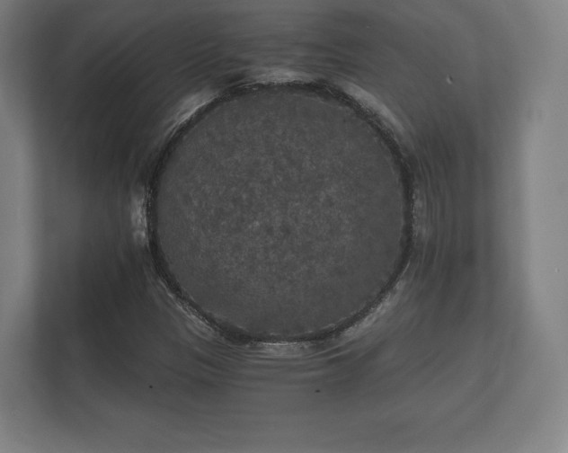 X0000112431305200908211152