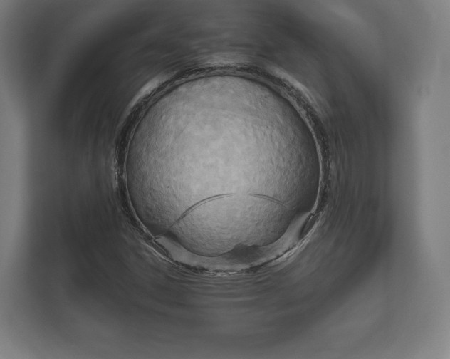 X0000112431306200908211152