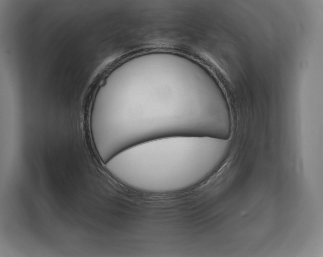 X0000112431307200908211152
