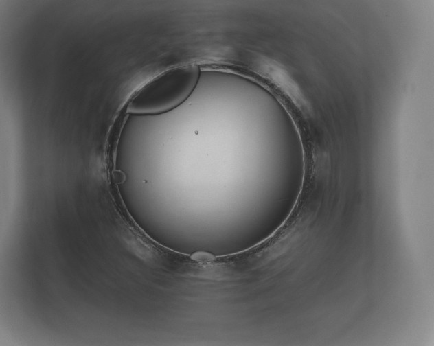 X0000112431308200908211152