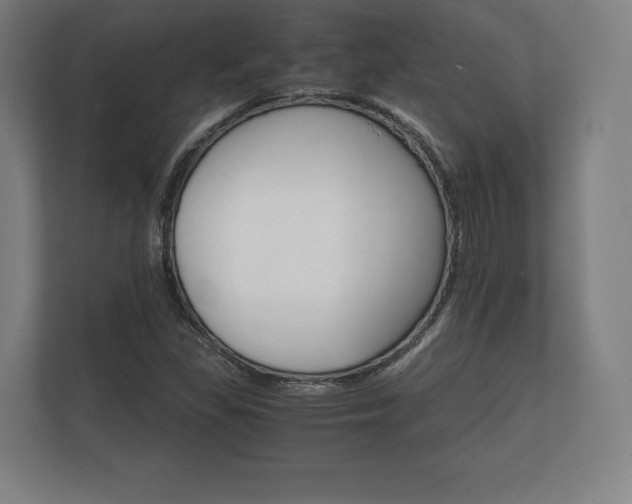 X0000112431309200908211152