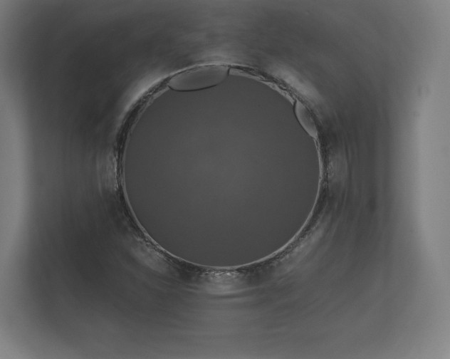 X0000112431310200908211152