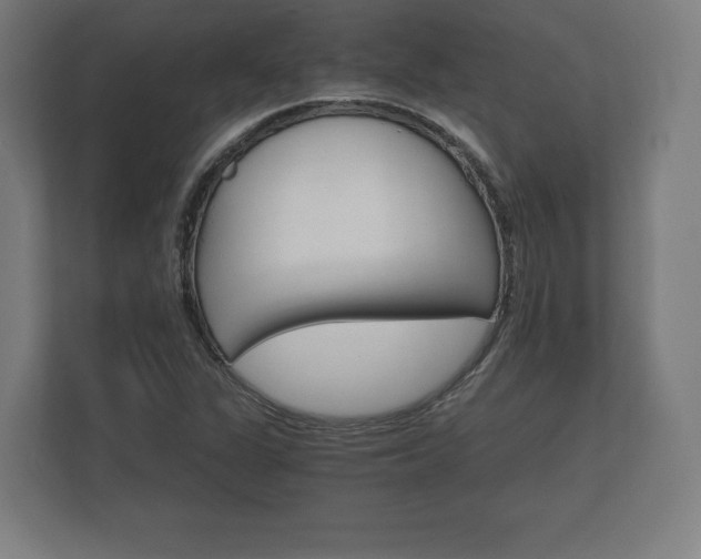 X0000112431311200908211152