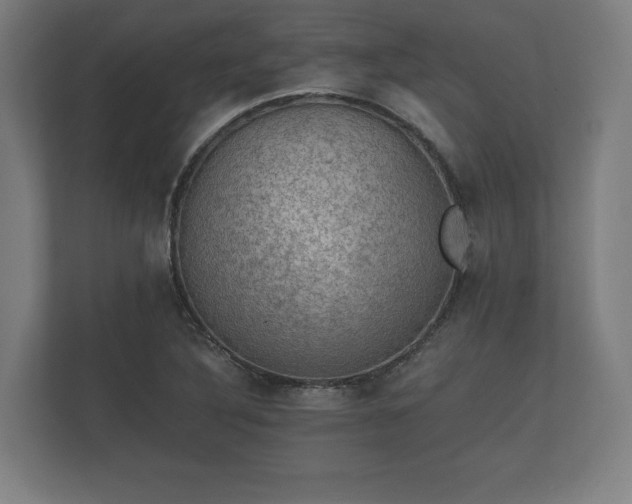 X0000112431316200908211152