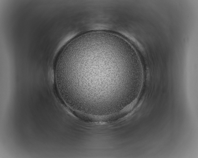 X0000112431317200908211152