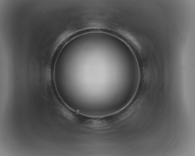 X0000112431318200908211152