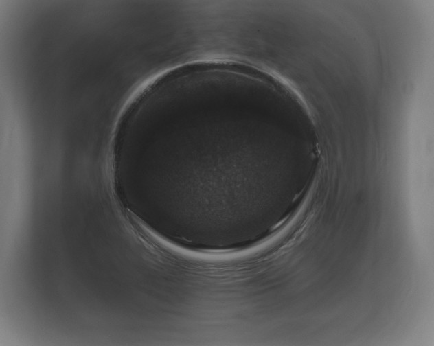 X0000112431319200908211152