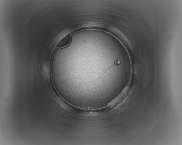 X0000112431321200908211152