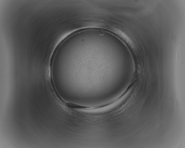 X0000112431324200908211152