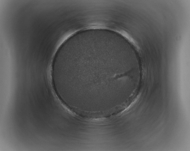 X0000112431325200908211152