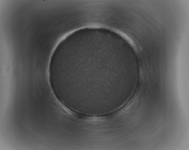 X0000112431327200908211152