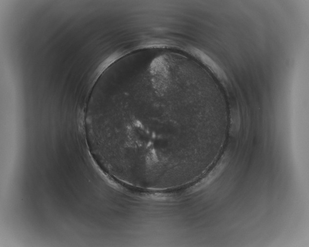 X0000112431329200908211153