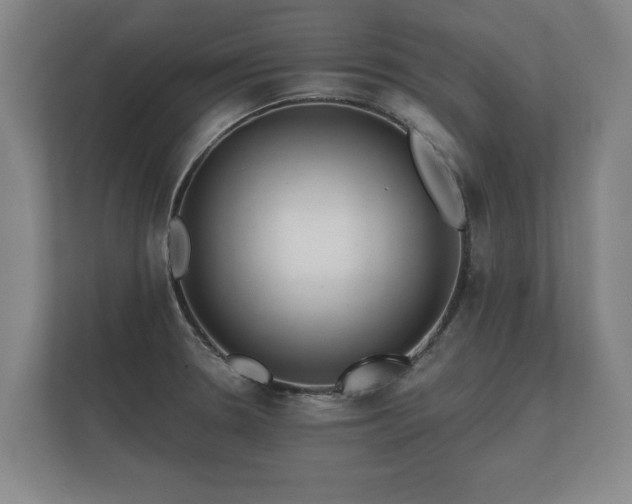 X0000112431330200908211153
