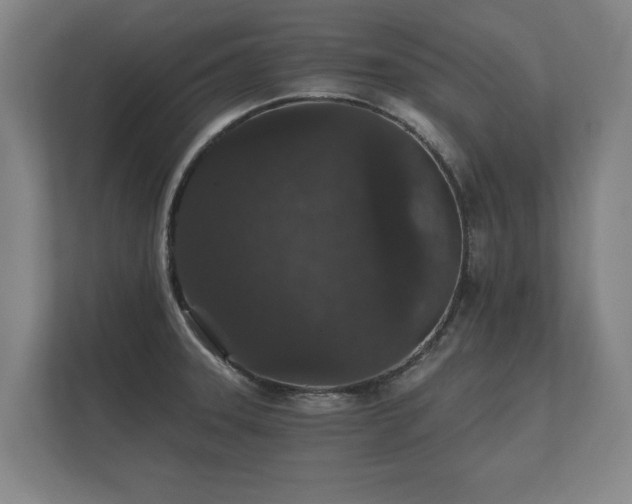 X0000112431331200908211153