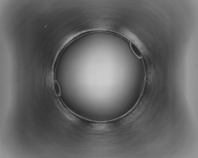 X0000112431332200908211153