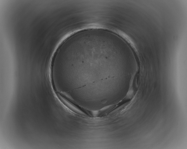 X0000112431334200908211153