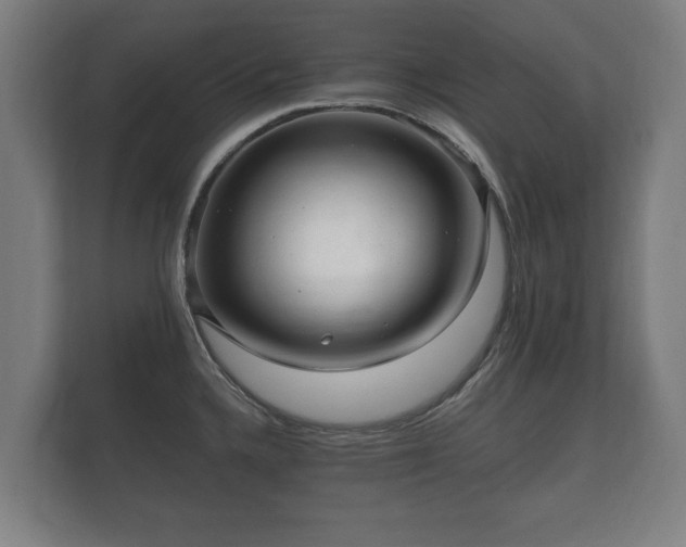 X0000112431336200908211153