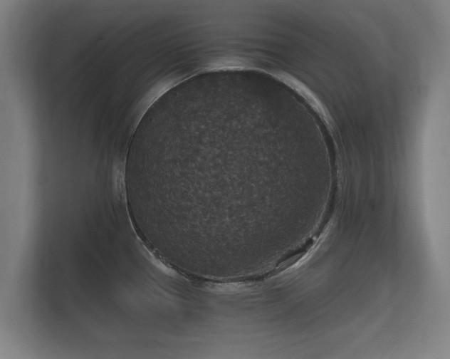 X0000112431337200908211153