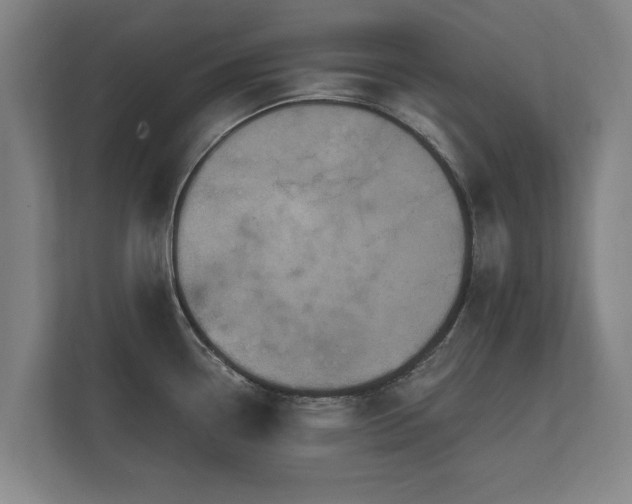 X0000112431338200908211153