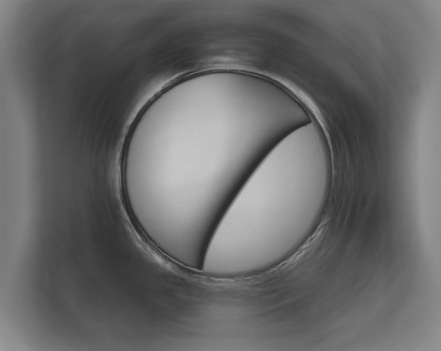 X0000112431341200908211153
