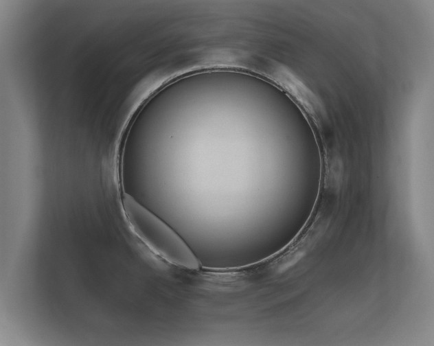 X0000112431342200908211153