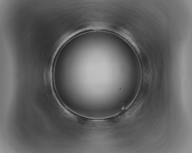 X0000112431343200908211153