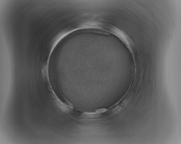 X0000112431344200908211153