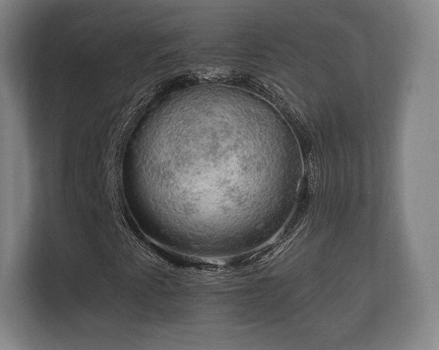 X0000112431345200908211152