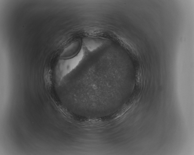 X0000112431346200908211152