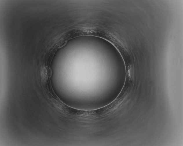 X0000112431347200908211152