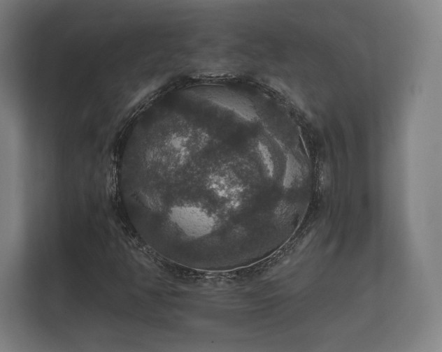 X0000112431350200908211152