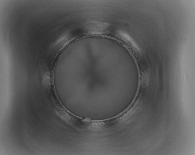 X0000112431353200908211152
