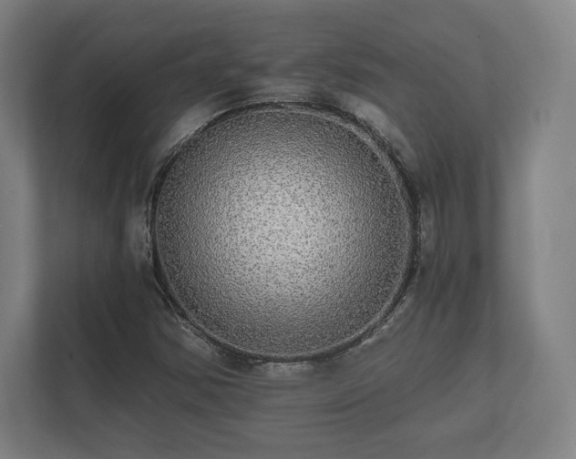 X0000112431354200908211152