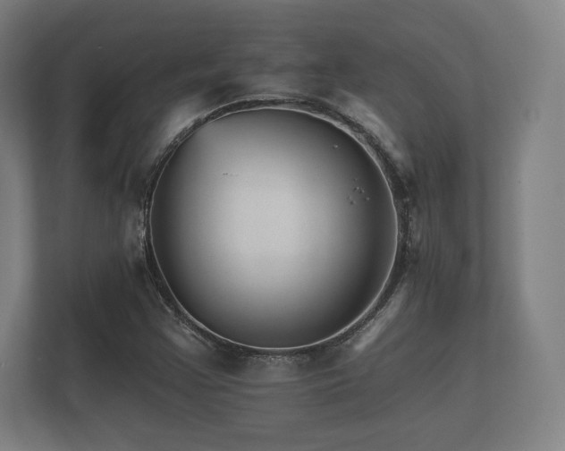 X0000112431355200908211152