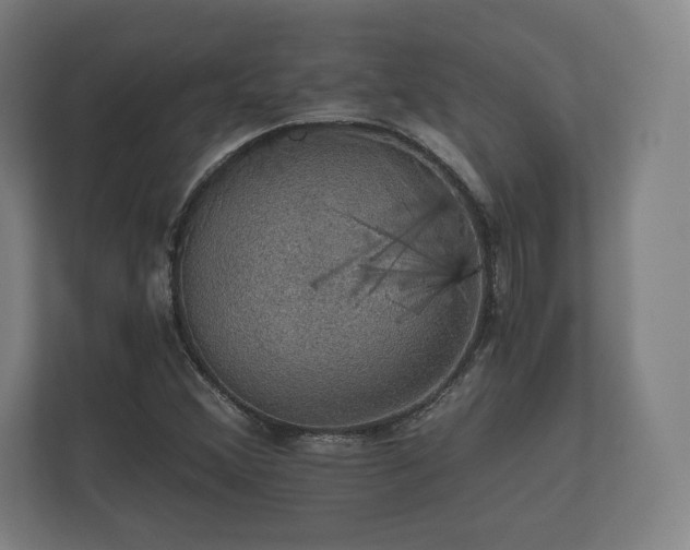 X0000112431356200908211152