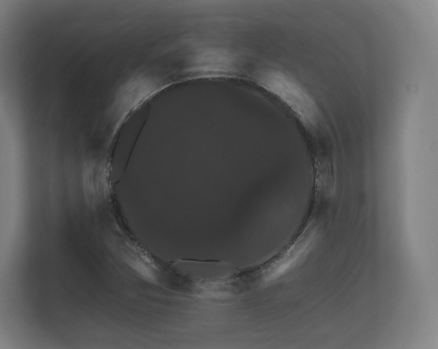 X0000112431357200908211152
