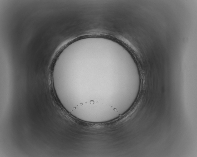 X0000112431358200908211152