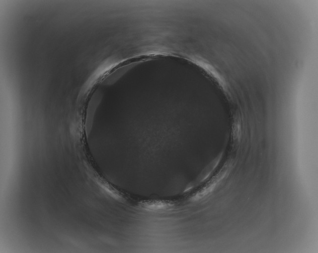 X0000112431359200908211152