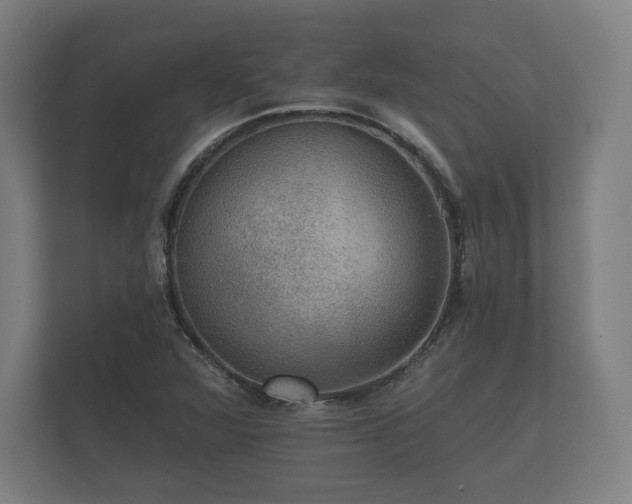 X0000112431360200908211152
