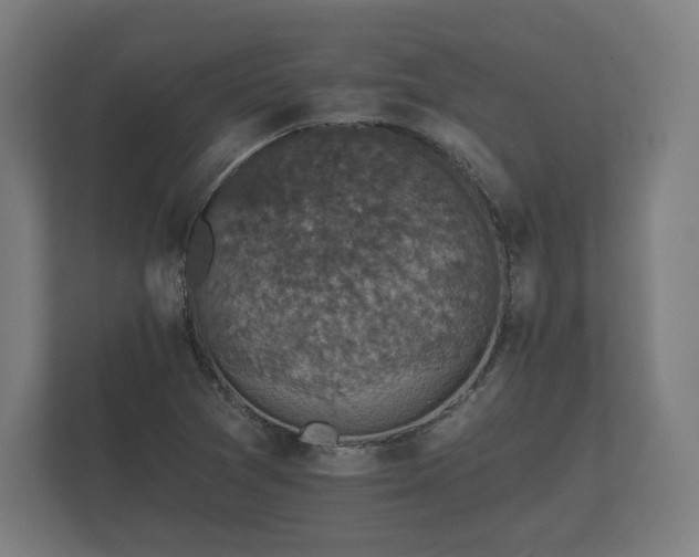 X0000112431361200908211152