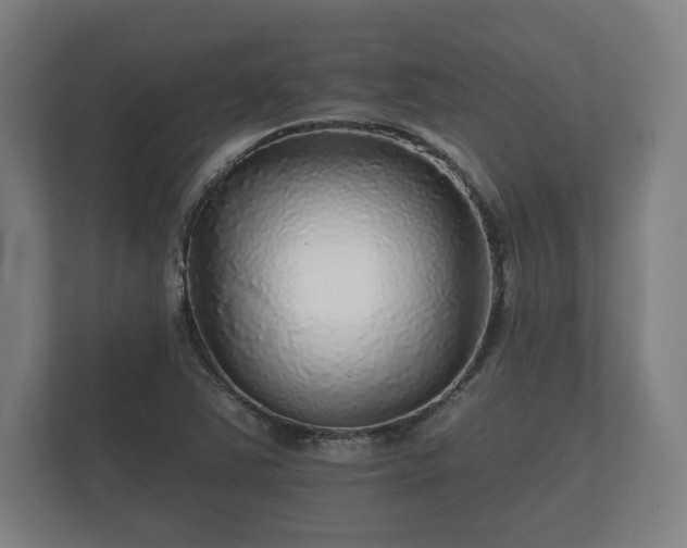 X0000112431363200908211152