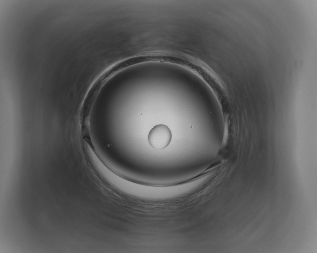 X0000112431364200908211152