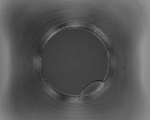 X0000112431369200908211152